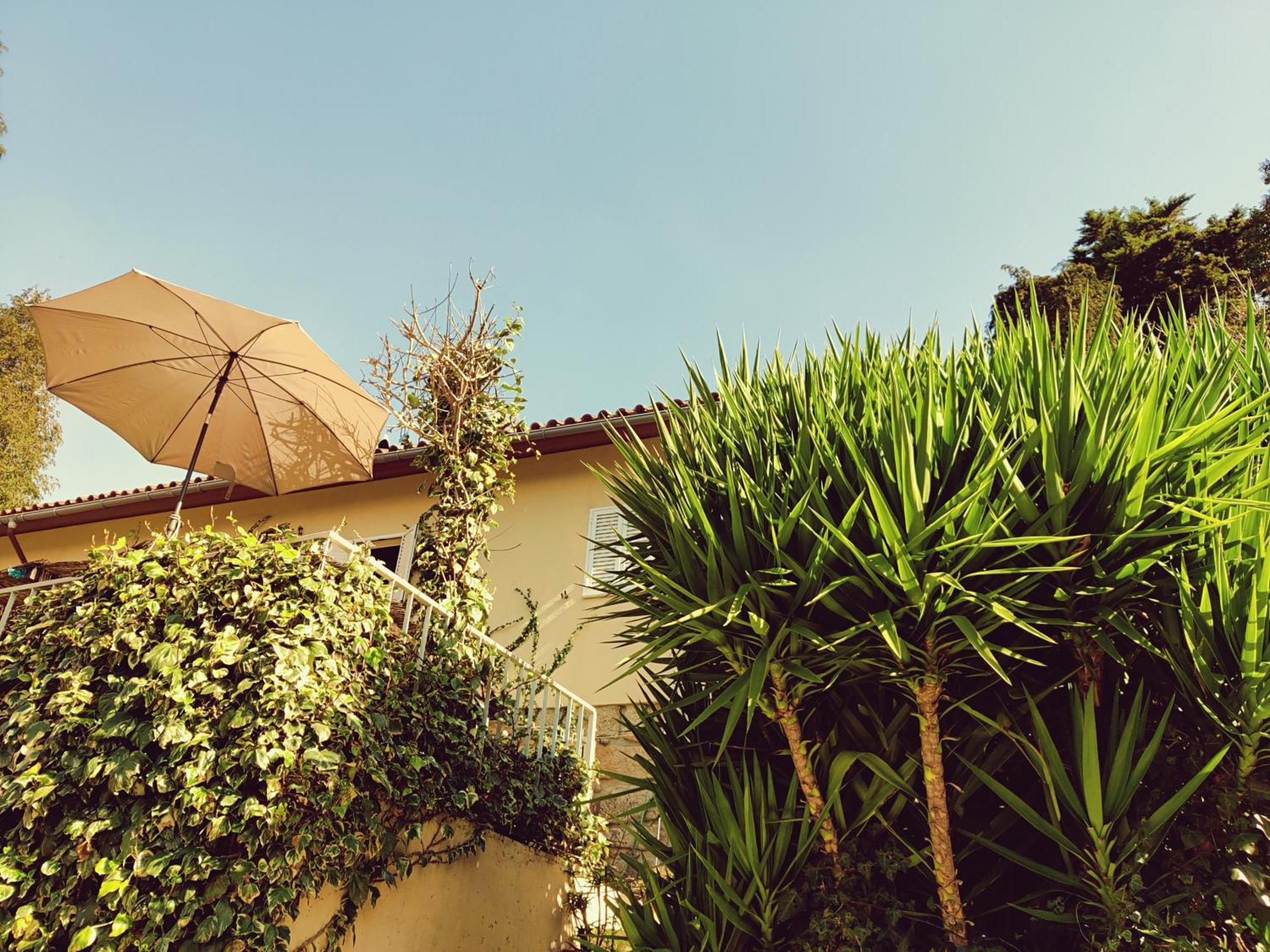 Monteiro'S Geres Countryhouse Ferral Exterior photo